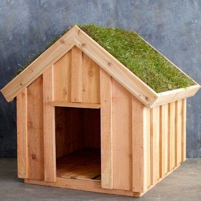 living roof dog house  saltboxdesignscom williamssonoma dog house plans dog houses dog