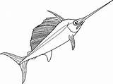 Zwaardvis Swordfish Vissen Kleurplaten Flevoland sketch template
