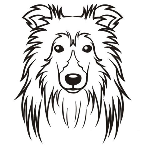 sheltie dog coloring pages