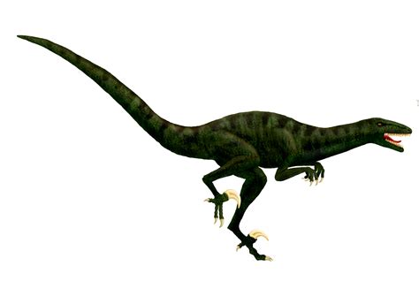 megaraptor  elenwen  deviantart