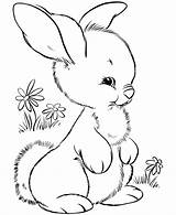 Bunny Cute Drawing Coloring Pages Easter Print Preschool Printable Rabbit Clipart Rabbits Animal sketch template
