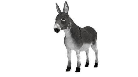 model donkey turbosquid