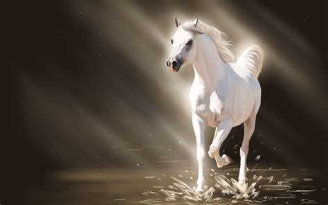 white horse running   water hd desktop wallpaper widescreen