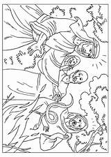 Paulus Serpiente Kleurplaat Slang Mordido Gebeten Morso Serpente sketch template