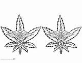 Coloring Weed Pages Cannabis Pot Printable Marijuana Leaf Adults Kids Template Color Bettercoloring sketch template