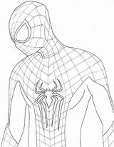 Spiderman Getdrawings Parker sketch template