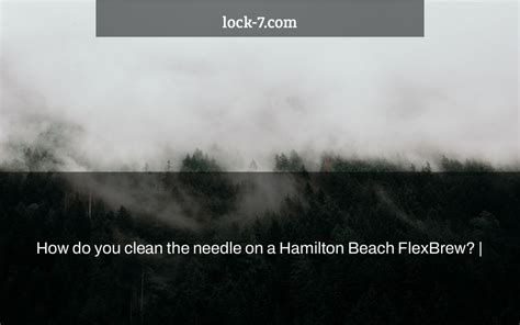 clean  needle   hamilton beach flexbrew