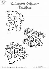 Animales Arrecifes Corales Marino Papelisimo Invertebrados Laminas Marinos Vertebrados Lámina sketch template