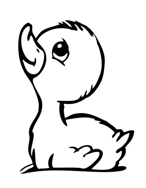 duck coloring pages  coloring pages  kids