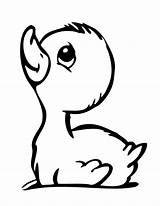 Duck Outline Clipart Cute Drawing Baby Coloring Library Pages sketch template