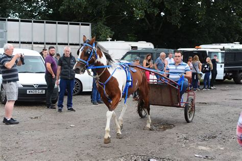 pictures  brigg horse fair   steeds  paraded  traded