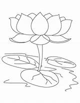 Lotus Coloring Flower Pages Sacred Drawing Color Colouring Clipart Sheet Kids Printable Sketch Template Hindu Getdrawings Getcolorings Good Print Library sketch template