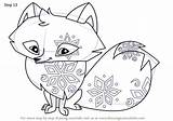 Fox Arctic Jam Animal Draw Drawing Step Polar Tutorials sketch template