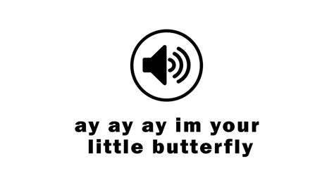 ay ay ay im your little butterfly sound effect [hd] youtube