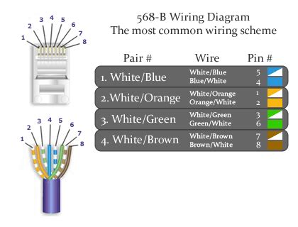 cat keystone wiring diagram