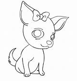 Chihuahua Bow Coloring Pages Chiwawa Cute Dog Christmas Printable Drawing Kids Colorings Getcolorings Color Cartoon Getdrawings Book Print Hair Ornament sketch template