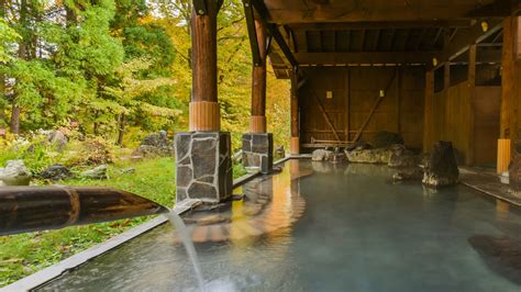 japanese garden parks natural swimming pool design designs wedding ideas zen for landscaping