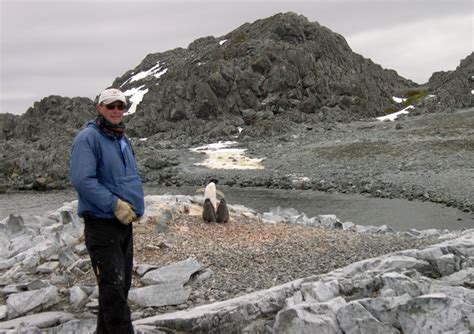the antarctic sun news about antarctica fraser s penguins