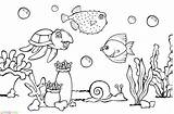 Mewarnai Aquarium Pemandangan Laut Sketsa Alam Kehidupan Soal sketch template