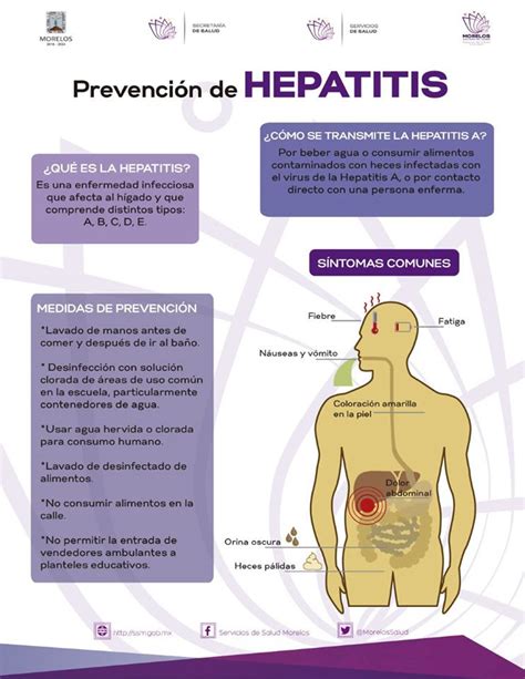 Principales Causas De La Hepatitis Son Los Virus A B C D Y E Y El