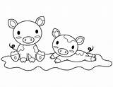 Coloring Baby Pigs Pages Printable sketch template