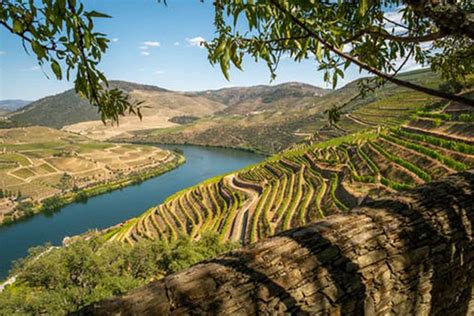 douro valley wine tours grape escapes