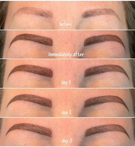 ombre powder brows healing process brows touch  eyeshadow
