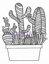 Cactus Coloring Visitar Dibujos Pages Print Desert Para Book sketch template