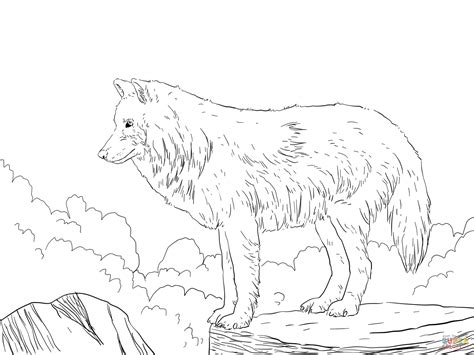 arctic snow wolf coloring page  printable coloring pages