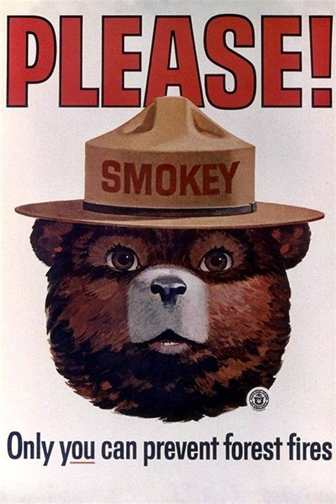 smokey bear      smokey head etsy