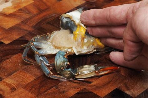 french   flash soft shell crab meuniere recipe recipe soft