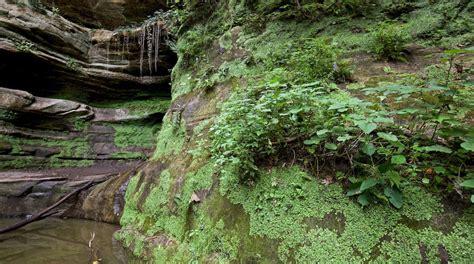 starved rock state park tours book  expedia