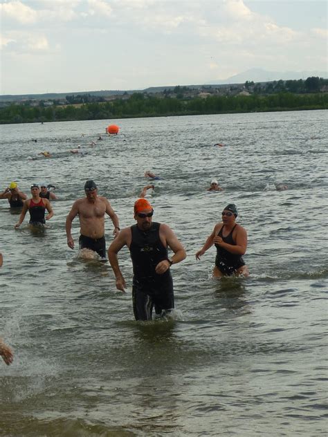 daily news  open water swimming  camaraderie  open water swimming