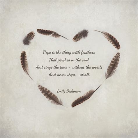 Feather Poems