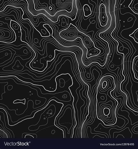 topographic map background  space  copy vector image