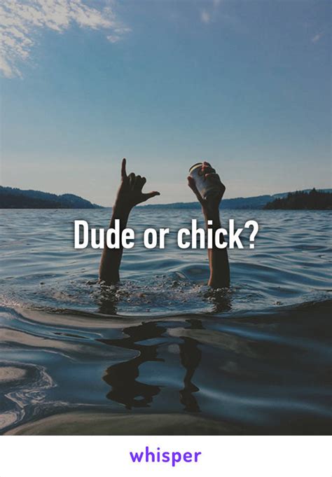 Dude Or Chick