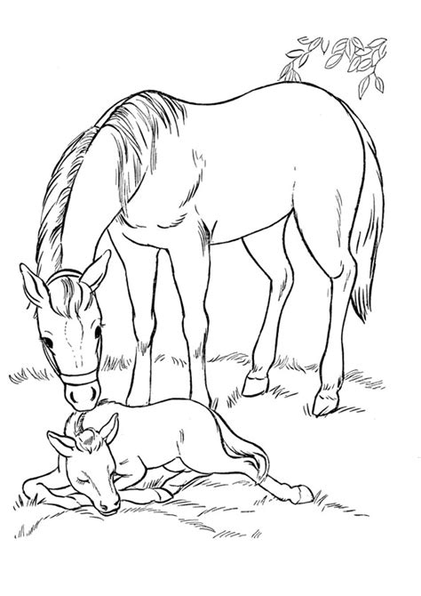 coloring pages baby horse  mom coloring page