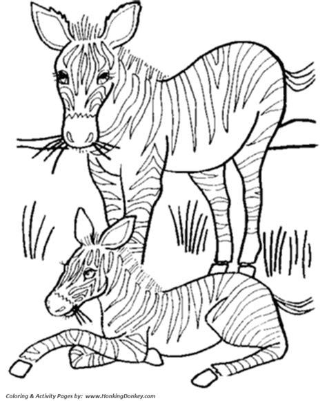 wild animal coloring pages mother  baby zebra coloring page