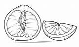 Pomelo Pampelmuse Sliced Aufgeschnitten Fruits sketch template