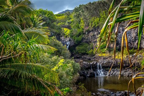 sacred pools maui hawaii oc  naturefully