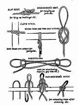 Knots Scouts Hitches sketch template