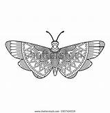 Drawn Coloring Hand Adult Pages Moth Vector Zentangle Bug Monochrome Sketch sketch template
