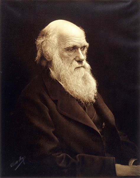 Guide To The Classics Darwin S The Descent Of Man 150 Years On — Sex