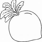 Radish Coloring Pages Supercoloring Printable Radishes Template Select Category Kaynak Sketch sketch template