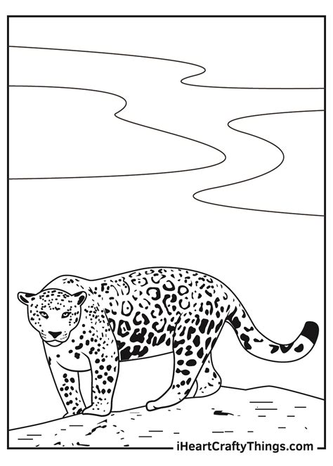 jaguar coloring pages updated