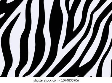 similar images stock  vectors  zebra stripes seamless