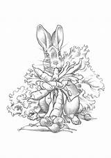 Rabbit Santore Beatrix sketch template