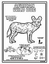 Dog Wild African Coloring Getcolorings Color Pages Printable sketch template