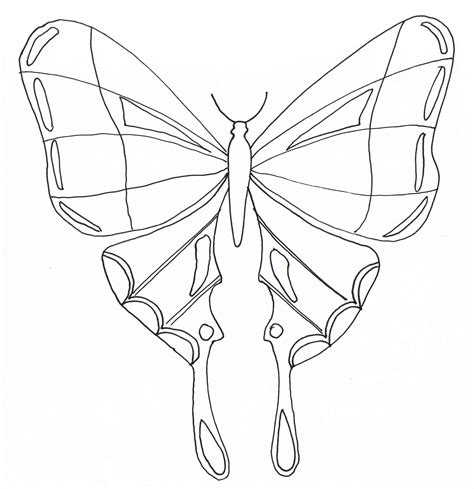 simple butterfly insects coloring pages  kids  print color