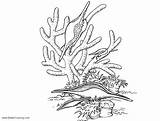 Coral Coloring Pages Sea Under Reef Printable Drawing Kids Adults Color Paintingvalley sketch template